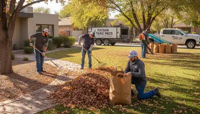 Technicians performing fall leaf removal and yard clean up in Tucson, AZ for Chop Chop Landscaping