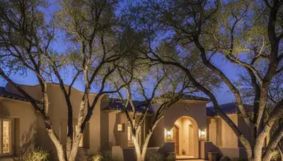 Tree uplighting design highlighting mature trees and landscape lighting in Tucson, AZ at night