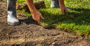 Sod Tucson Az Chop Chop Landscaping Tucson Az