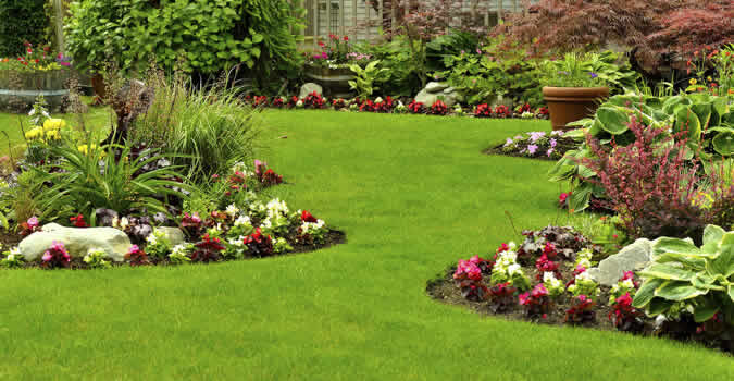 Landscaping Tucson Landscapers Tucson Az Chop Chop Landscaping Tucson Az